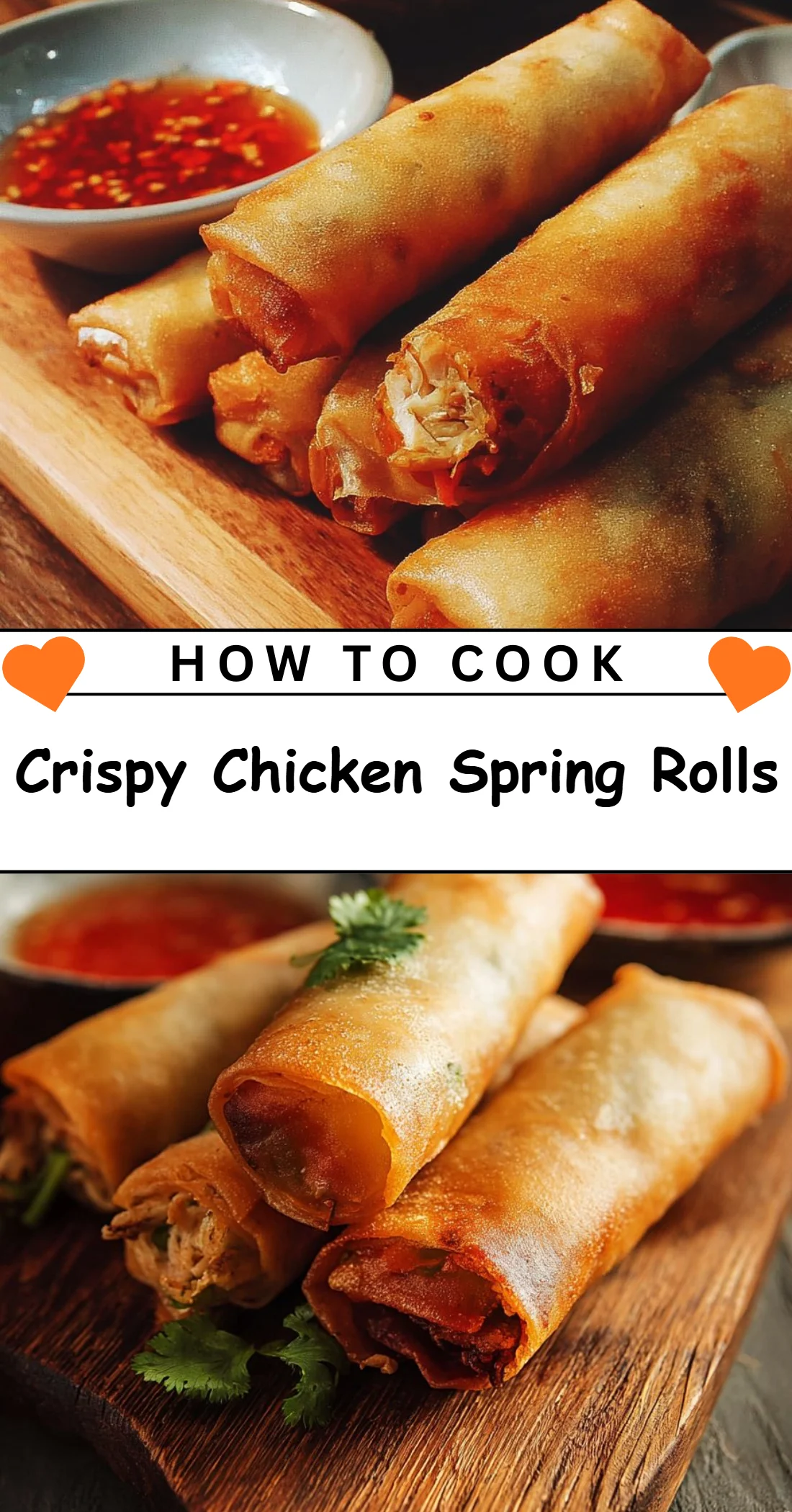 Crispy Chicken Spring Rolls